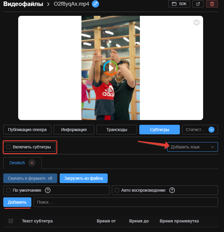 Вкладка «Субтитры» в карточке видео Boomstream