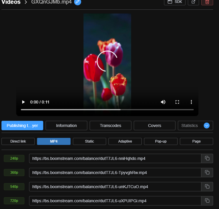 Selecting the MP4 tab to retrieve direct video links