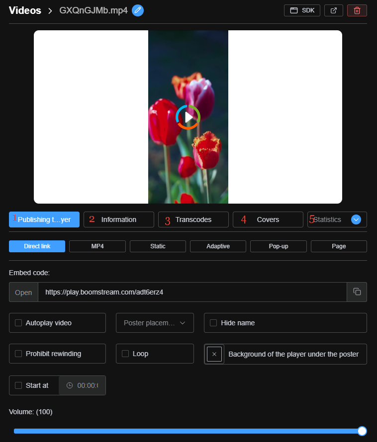 Video card overview showing Publishing, Information, Transcodes, and Covers tabs